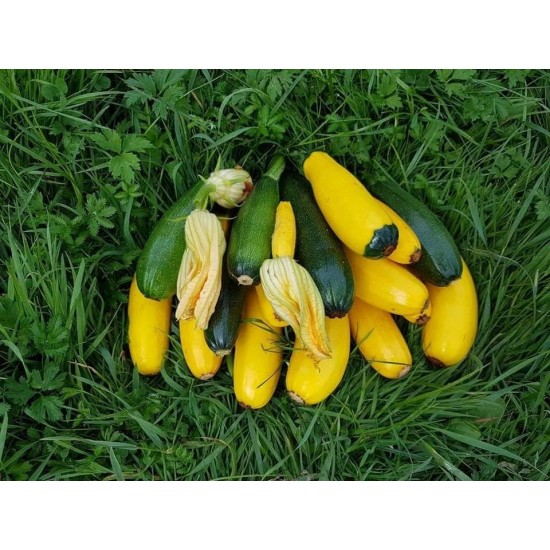 Vidutinės cukinijos, 0,5 kg Vidutinės cukinijos, 0,5 kg