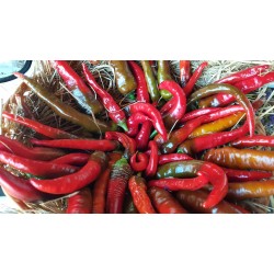 Gamtiškai užauginti aitrieji pipirai, 100 g