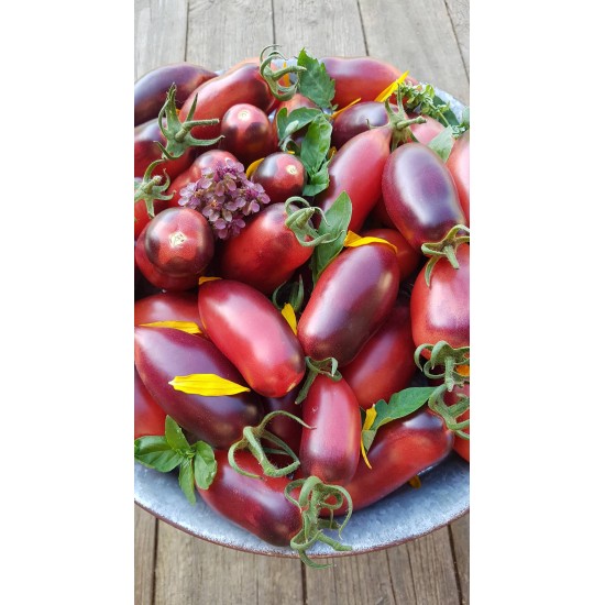 Gamtiškai užauginti „Slivka gurman" pomidorai, 1 kg