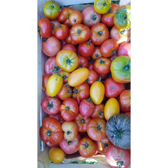 Gamtiškai užauginti pomidorai, 1 kg