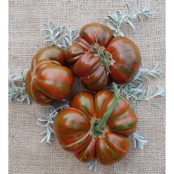 Gamtiškai užauginti dideli veisliniai pomidorai „Amur Tiger", 1 kg