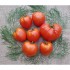 Gamtiškai užauginti dideli raudonieji veisliniai pomidorai, 1 kg